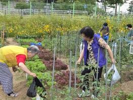 성동구, 독거어르신 대상 '성동 케어팜' 운영 화제 기사 이미지