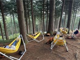 국립횡성숲체원, 장기요양 종사자 위한 '산림치유 캠프' 성료 기사 이미지